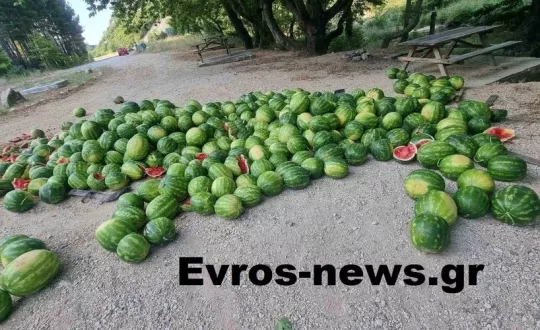 Φωτό: evros-news.gr