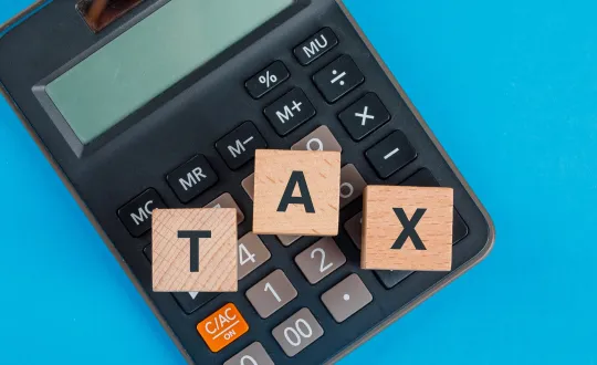 tax φόρος <a href="https://www.freepik.com/free-photo/tax-planning-concept-with-wooden-cubes-calculator-blue-table-flat-lay_9486298.htm?sign-up=google#fromView=search&page=1&position=38&uuid=865ba4e3-5a7d-460c-b074-32ade9202edc">Image by 8photo on Freepik</a>