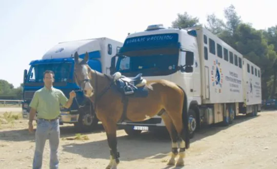 Μεταφορά αλόγων Μεταφορά αλόγων