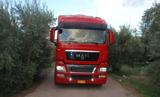 Μεταφορές Ελιών με ΜΑΝ TGX Μεταφορές Ελιών με ΜΑΝ TGX