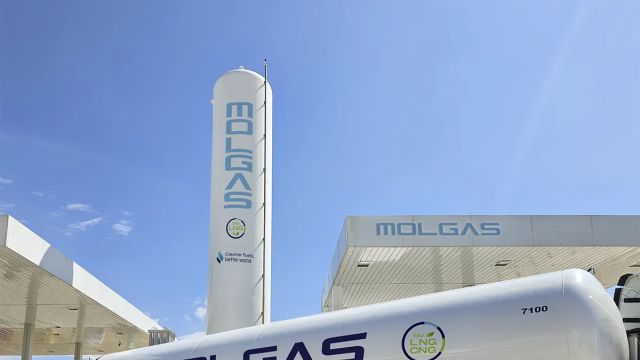 molgas