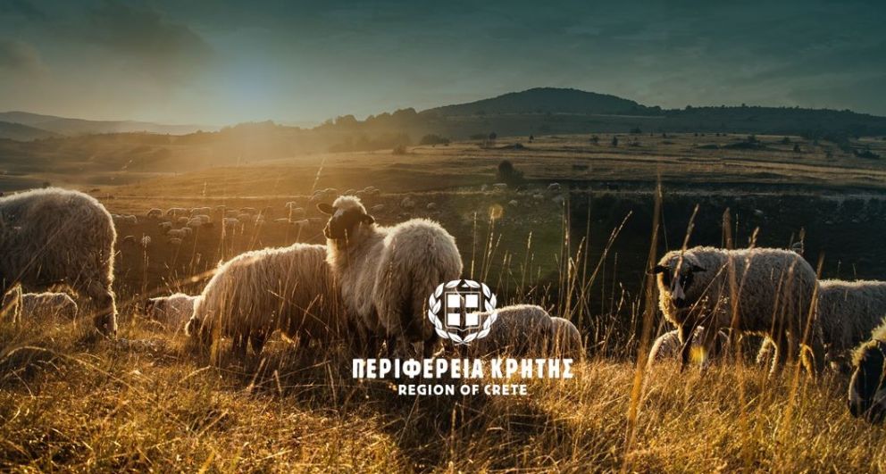 φωτό: Περ. Κρήτης