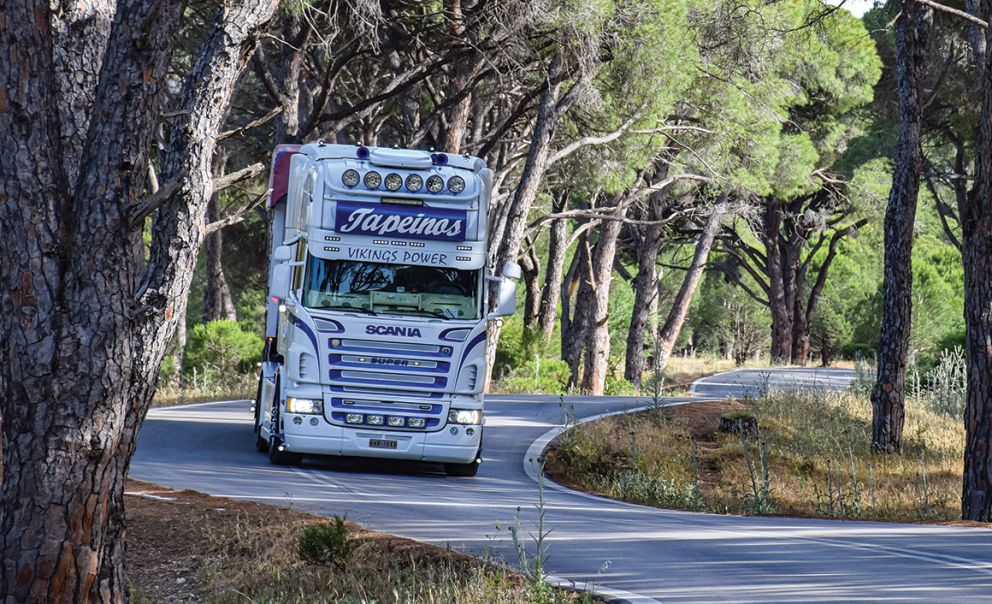 scania viking