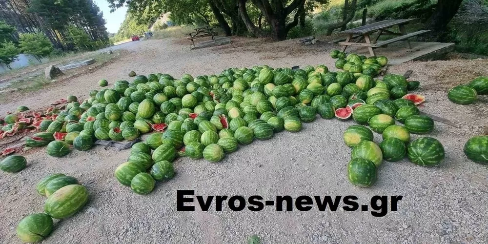 Φωτό: evros-news.gr